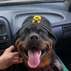 rottweiler_marsy