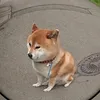tumu_c