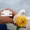 al6f3