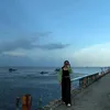 cathyhang66