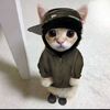 whatsupguys237