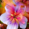 matilda_ml