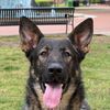 evansstadt_gsd