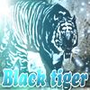 blacktiger590