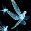 dragonflyxx22
