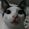 khaypablo
