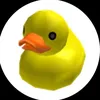 avo_king2