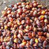 jalanyangbenar027