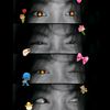 z.i_dila