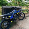 515comang