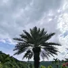 _somewhere8