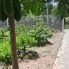 hienphan777