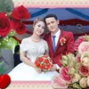 linhthai55