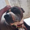 daviiqhhs3