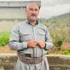 aram_koshky1