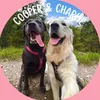 charliecoopertales