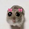 ninuperlinu
