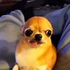 flopdollsflop