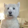 mrsdazo