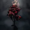 hamid_h.m1
