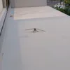 volador58