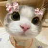 jaiannyazevedo20