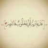 noooor655