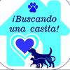 buscando1casita