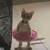 ngnsuowggg