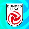 Bundesliga.at