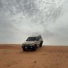 مـــراد المـخلفــي