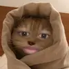yorgaav3