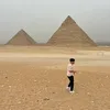 aras.dmi