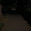 jvk046_