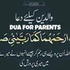 shaziayousuf00
