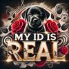 myidisntreal