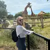 stefmorrell
