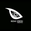 bleakvision