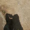 jannah___288
