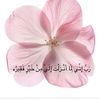 israashendy