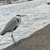 user5c2aujkymw