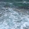abo_naif00