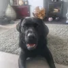 oscar_poscar123