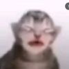 alicehardy29