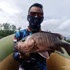 ekananda40