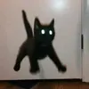 8kiraveli8