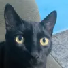 deimos_1008