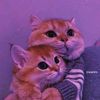 _kisiyeva_