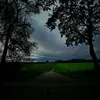 kohvid_065