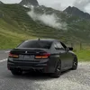 romchik_kisel